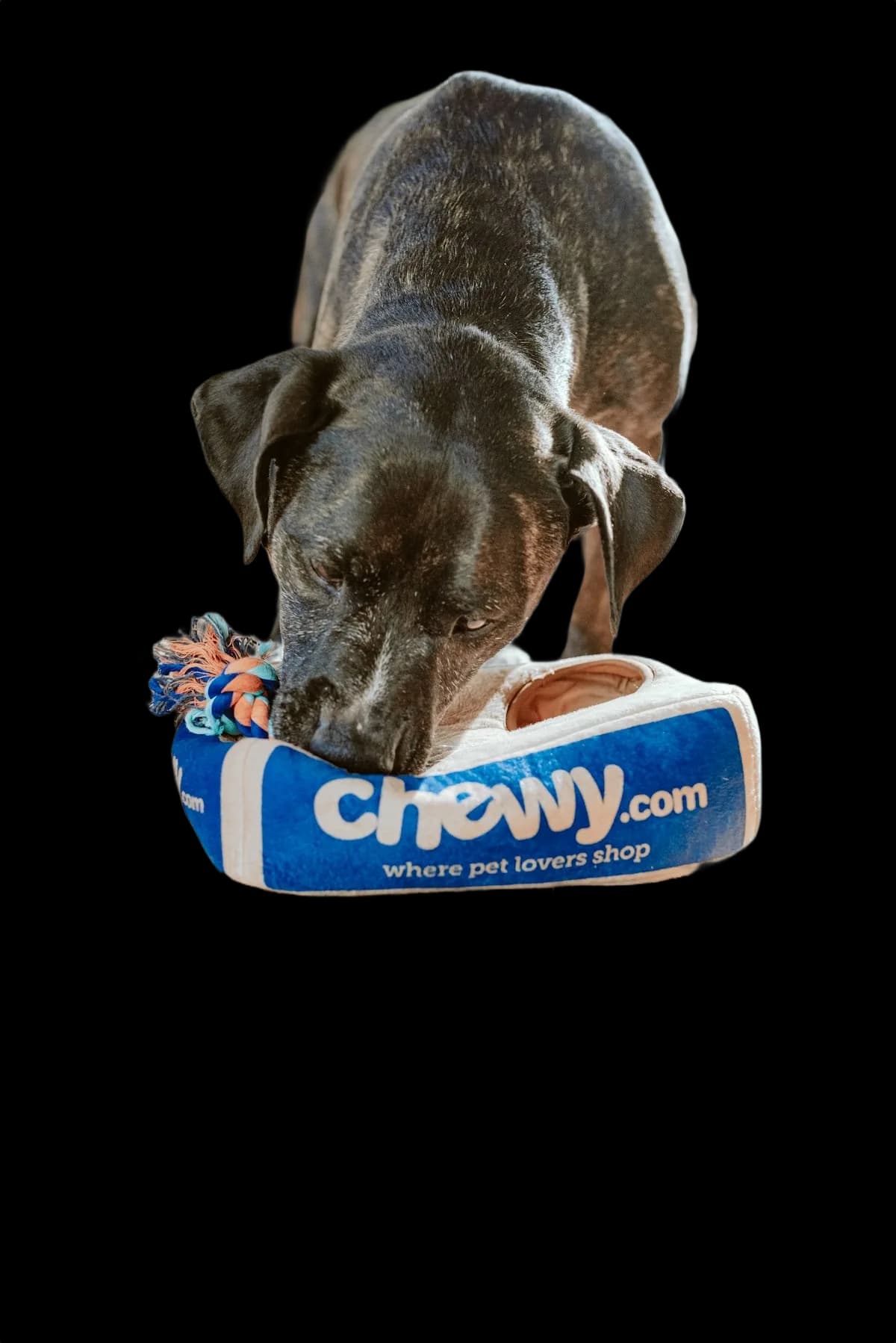 Cat food pack